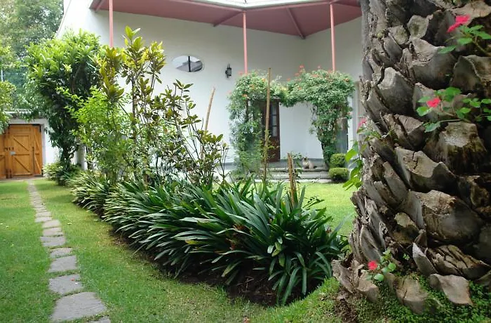 Guest house La Casa De Las Magnolias Mexico City