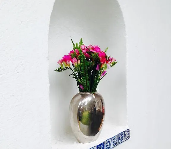 La Casa De Las Magnolias *