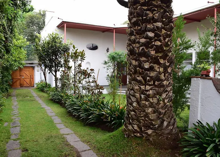 La Casa De Las Magnolias Guest house Mexico City