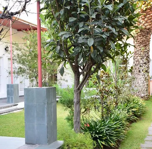 La Casa De Las Magnolias * Mexico City
