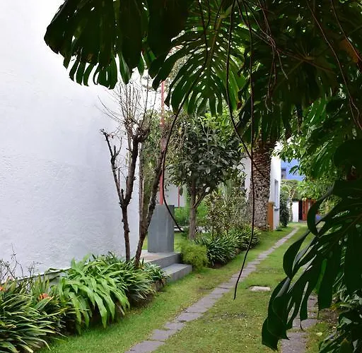 La Casa De Las Magnolias Mexico City