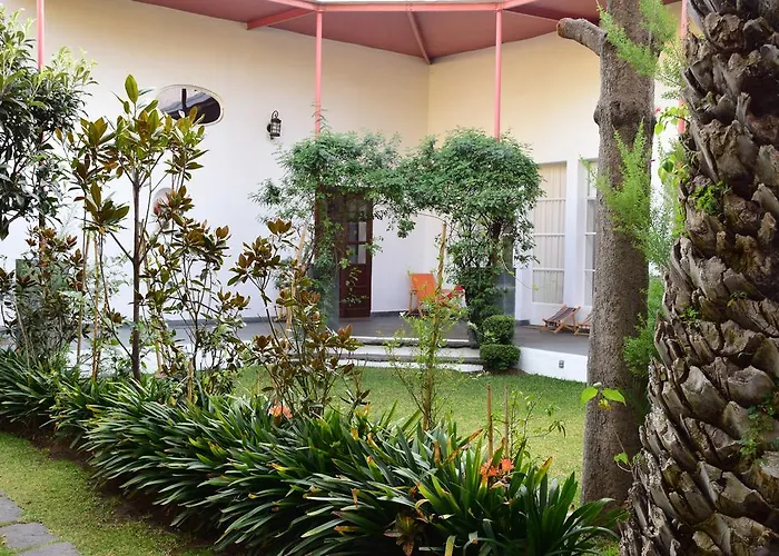 La Casa De Las Magnolias Mexico City