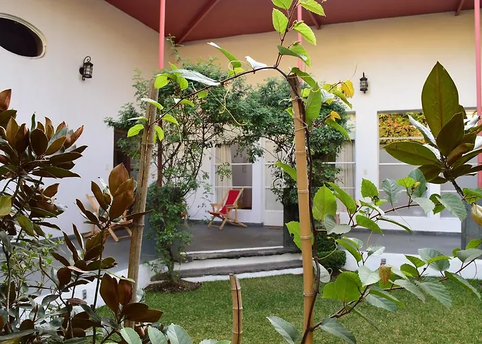 La Casa De Las Magnolias *