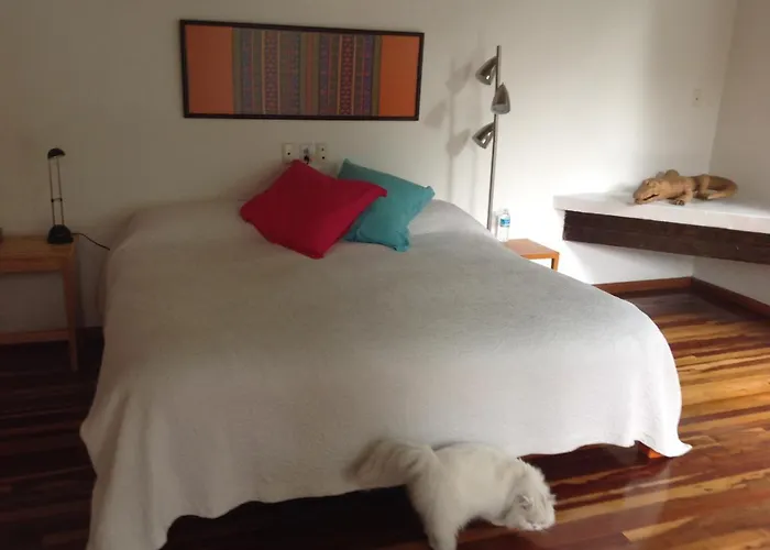 La Casa De Las Magnolias Guest house Mexico City